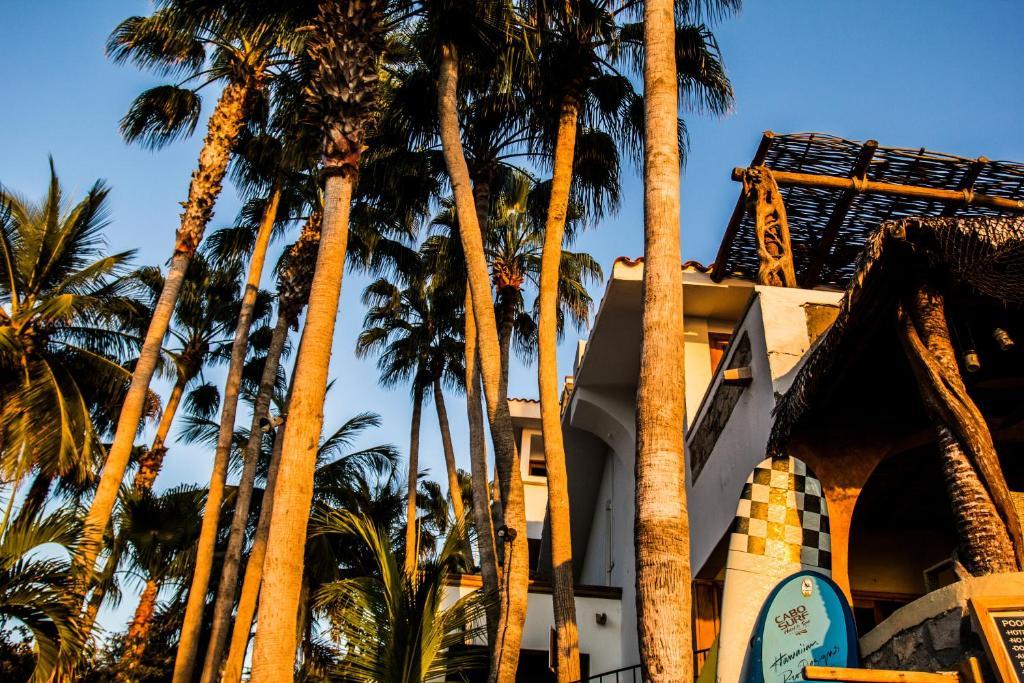Cabo Surf Hotel San Jose del Cabo Ngoại thất bức ảnh